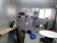 Intérieur du box commun chats